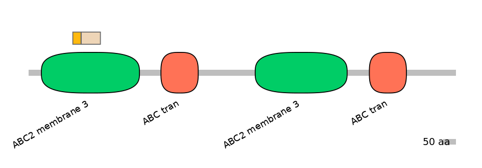 DreINT0023746-EXC