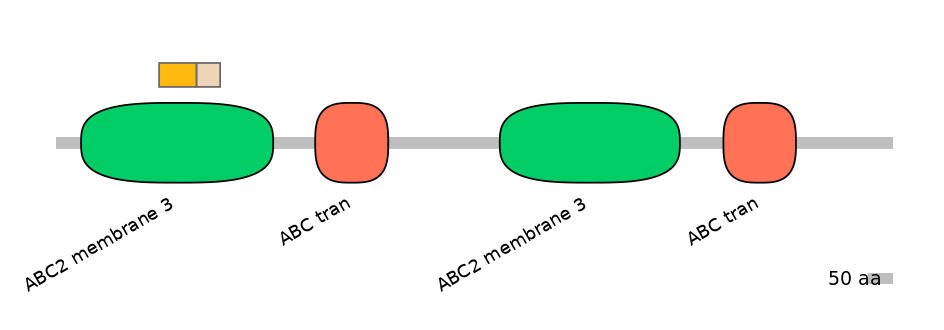DreINT0023747-EXC