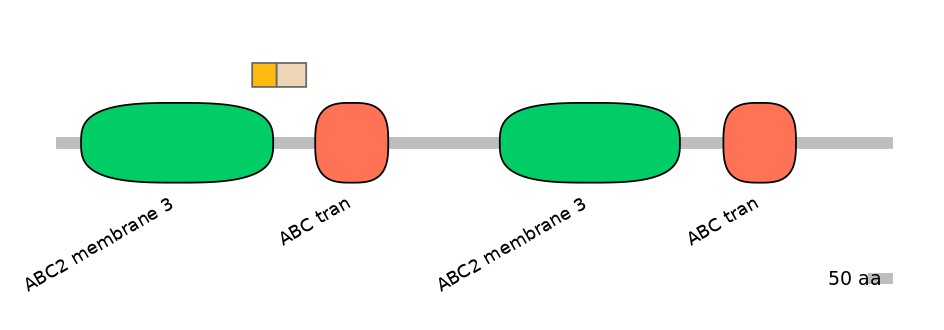 DreINT0023750-EXC