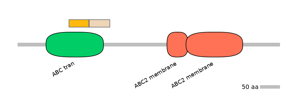 DreINT0024347-EXC