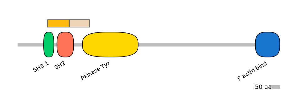 DreINT0024625-EXC