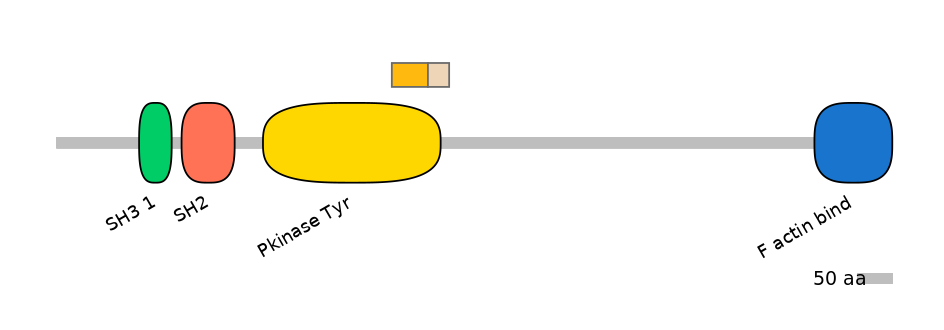 DreINT0024630-EXC