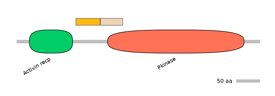 DreINT0025824-EXC