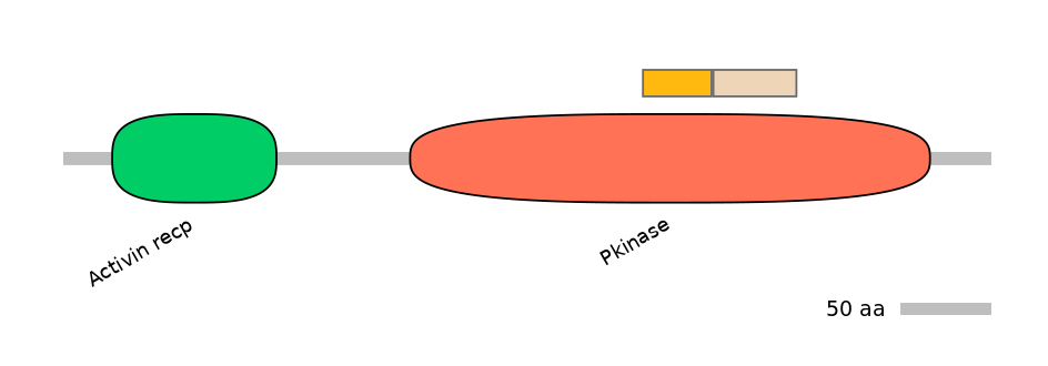 DreINT0025828-EXC