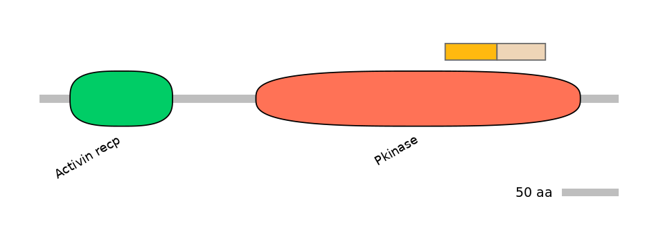 DreINT0025829-EXC