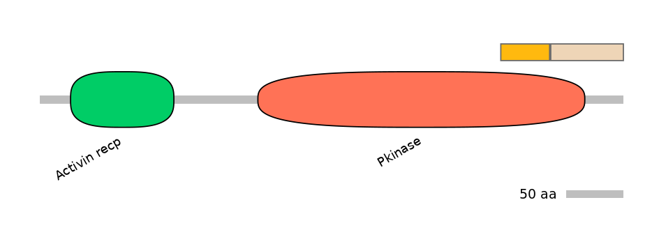 DreINT0025830-EXC