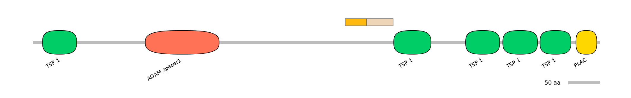 DreINT0026394-EXC