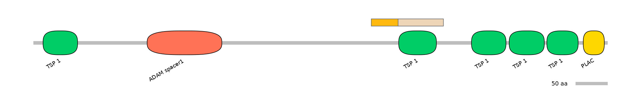 DreINT0026395-EXC
