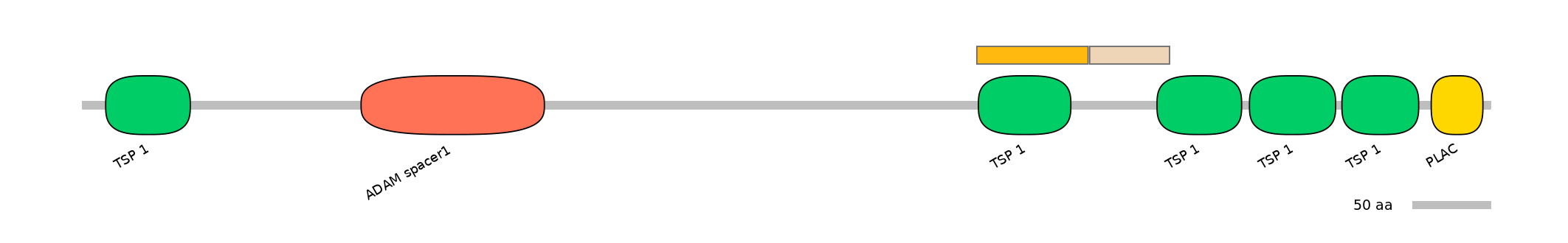 DreINT0026396-EXC