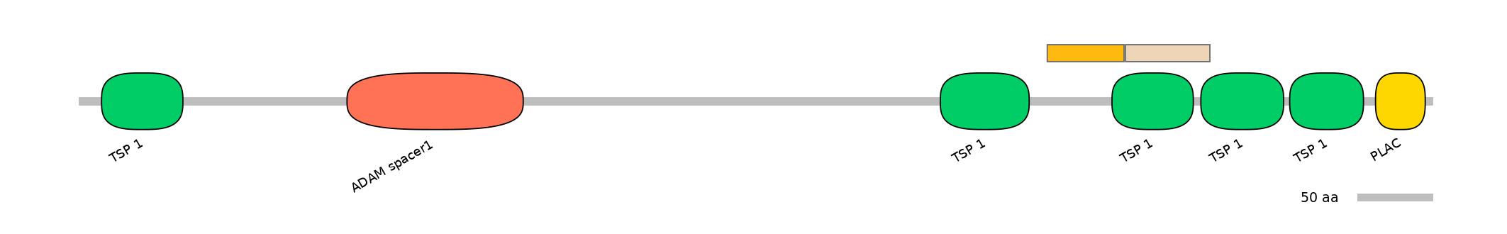 DreINT0026397-EXC