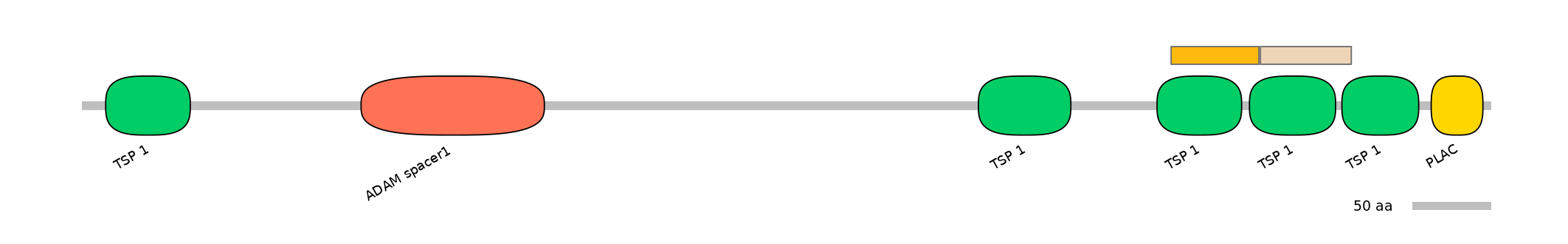 DreINT0026398-EXC