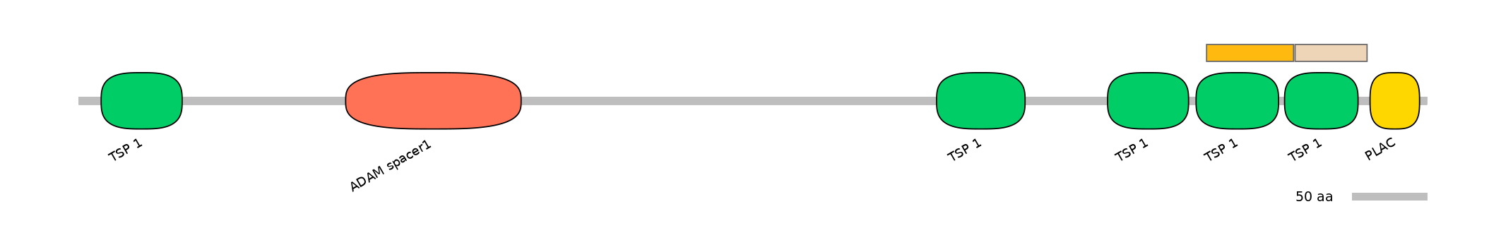 DreINT0026399-EXC