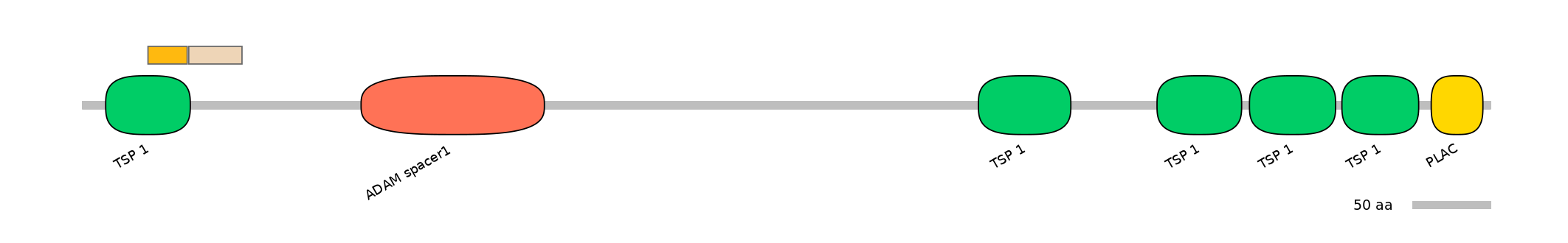 DreINT0026401-EXC
