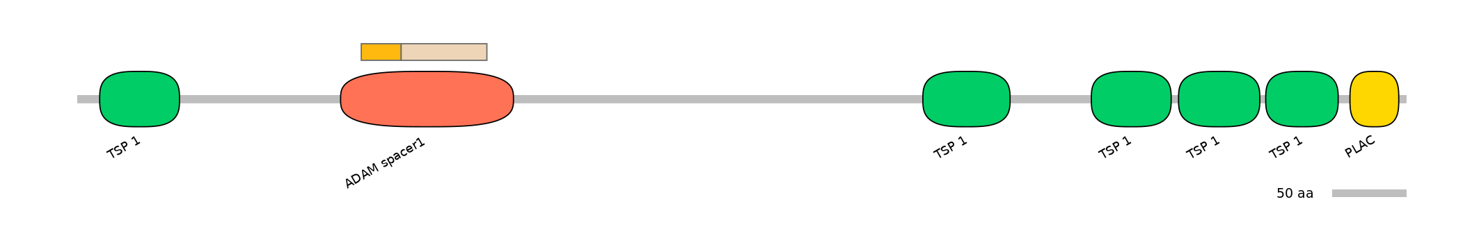 DreINT0026405-EXC