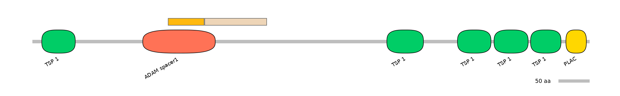 DreINT0026406-EXC