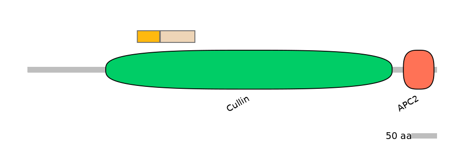 DreINT0029544-EXC
