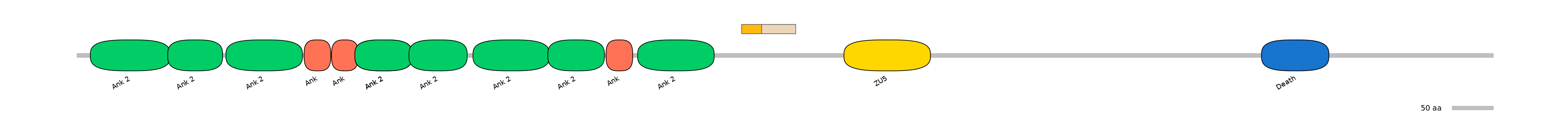 DreINT0029685-EXC
