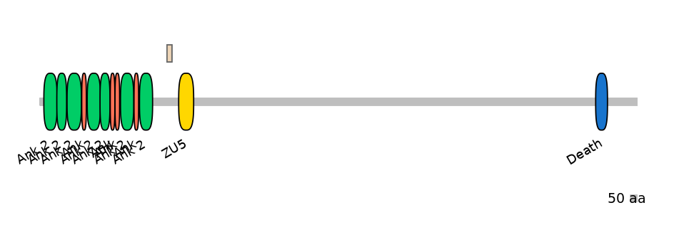 DreINT0029735-INC