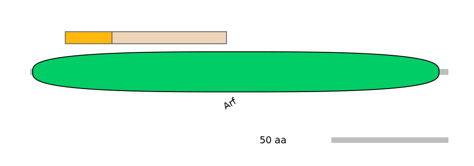 DreINT0033248-EXC