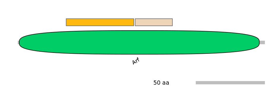 DreINT0033249-EXC