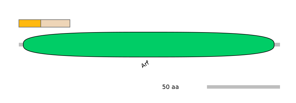 DreINT0033252-EXC