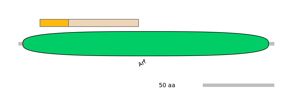 DreINT0033253-EXC