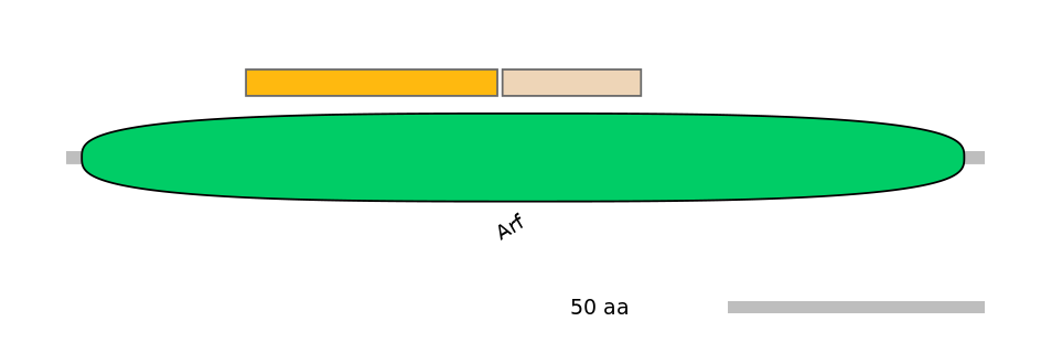 DreINT0033254-EXC