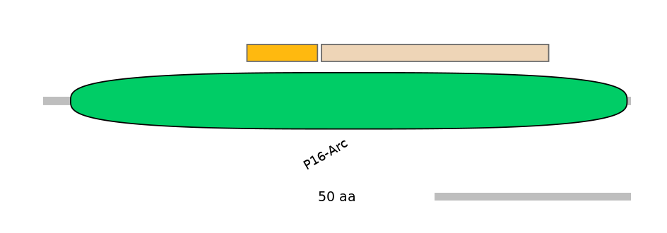 DreINT0033537-EXC