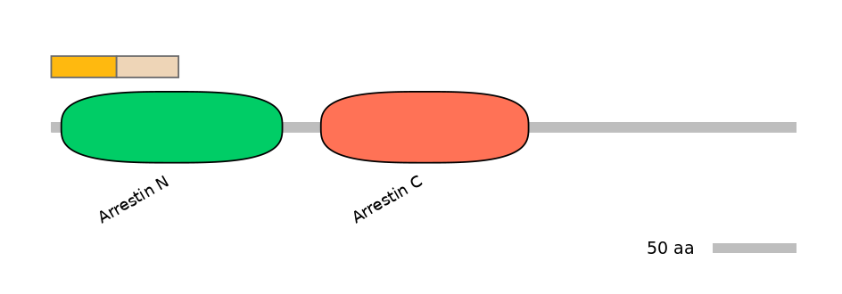 DreINT0033631-EXC