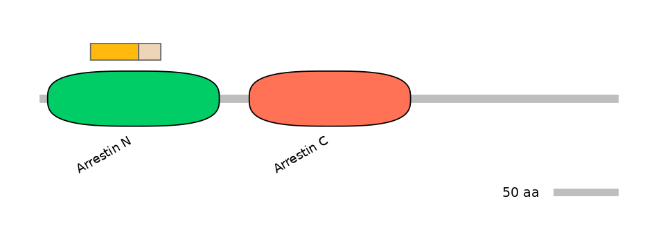 DreINT0033632-EXC