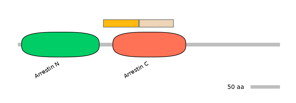 DreINT0033635-EXC