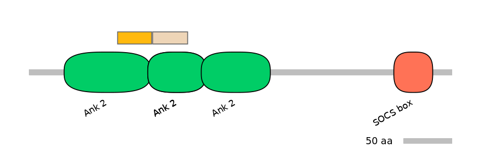 DreINT0034019-EXC