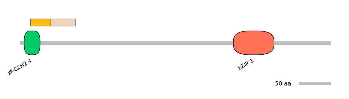 DreINT0034494-EXC