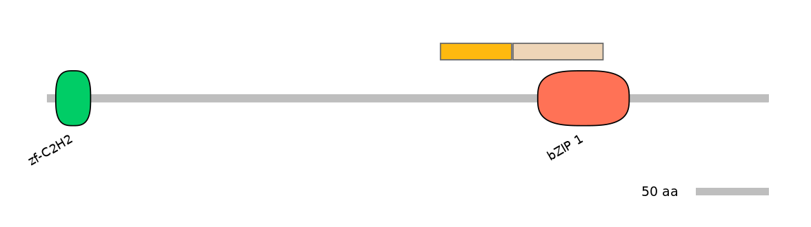 DreINT0034530-EXC