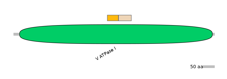 DreINT0035461-EXC