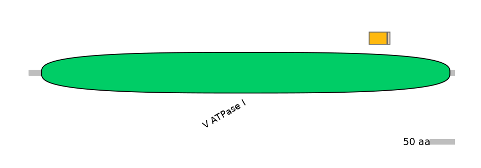 DreINT0035467-EXC
