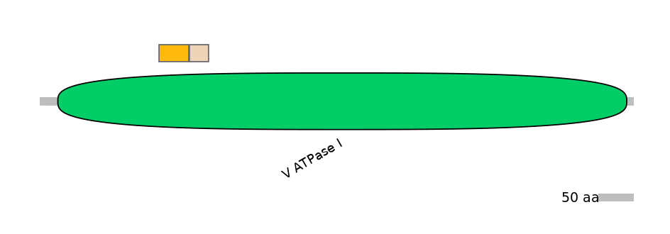 DreINT0035476-EXC