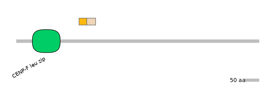 DreINT0035515-EXC