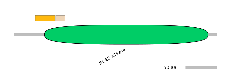 DreINT0035663-EXC