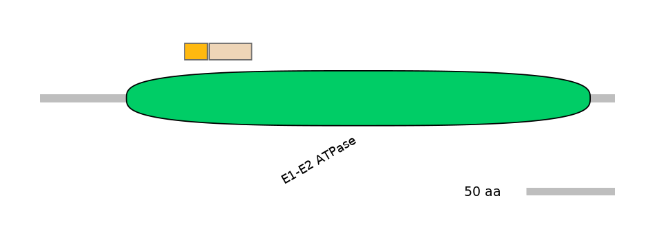 DreINT0035665-EXC