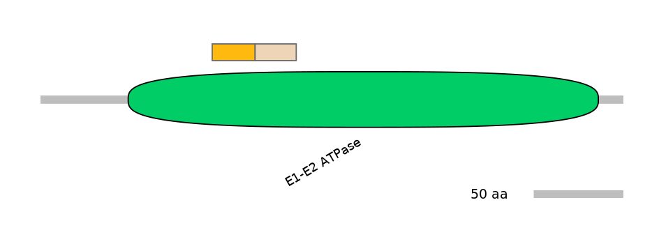 DreINT0035666-EXC