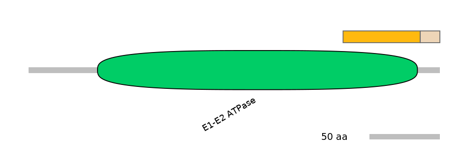 DreINT0035670-EXC