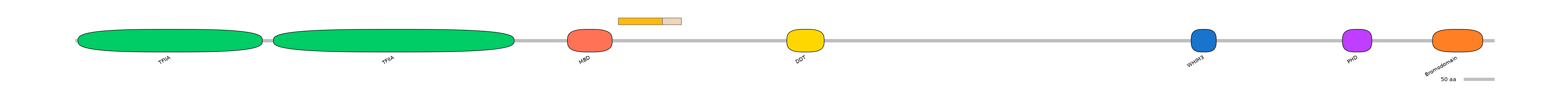 DreINT0036862-EXC
