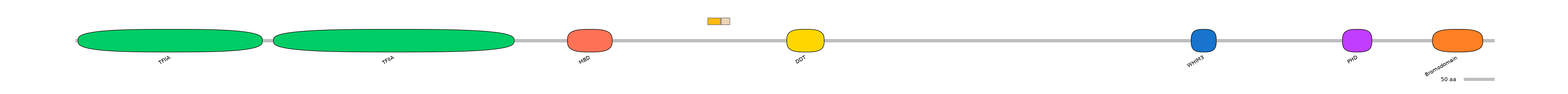 DreINT0036866-EXC