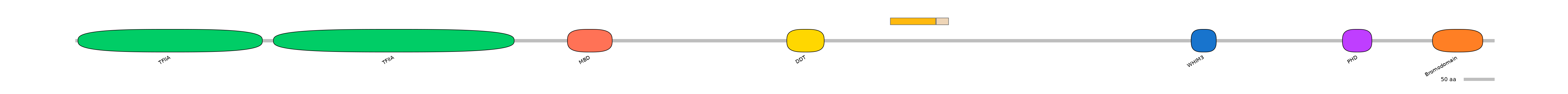 DreINT0036875-EXC