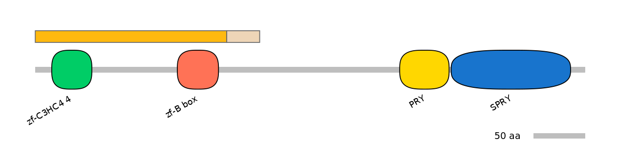 DreINT0038674-EXC