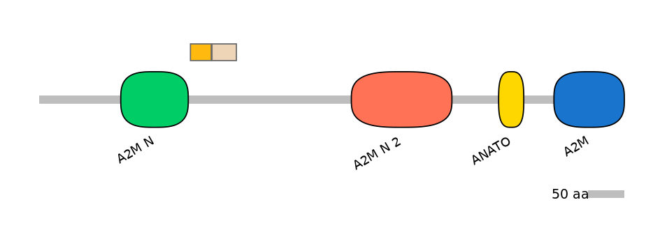 DreINT0038990-EXC