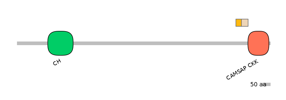 DreINT0040919-EXC