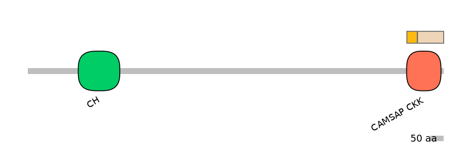 DreINT0040921-EXC