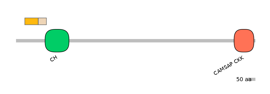 DreINT0040923-EXC